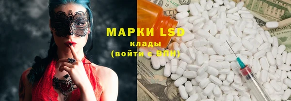 PSILOCYBIN Бородино