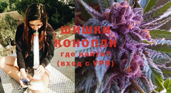 индика Верея
