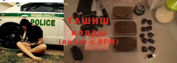 PSILOCYBIN Бородино