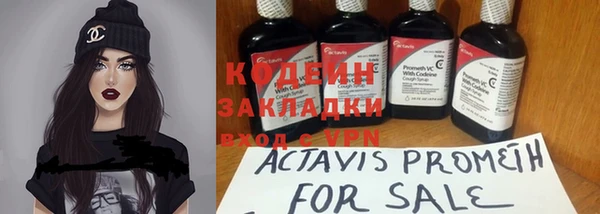 индика Верея