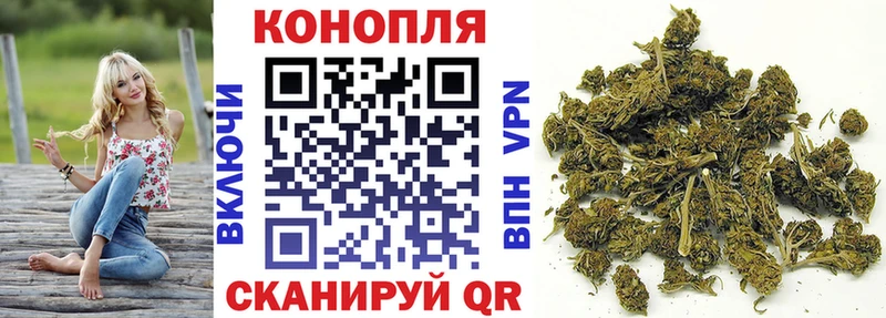 Бошки Шишки семена  Вичуга 